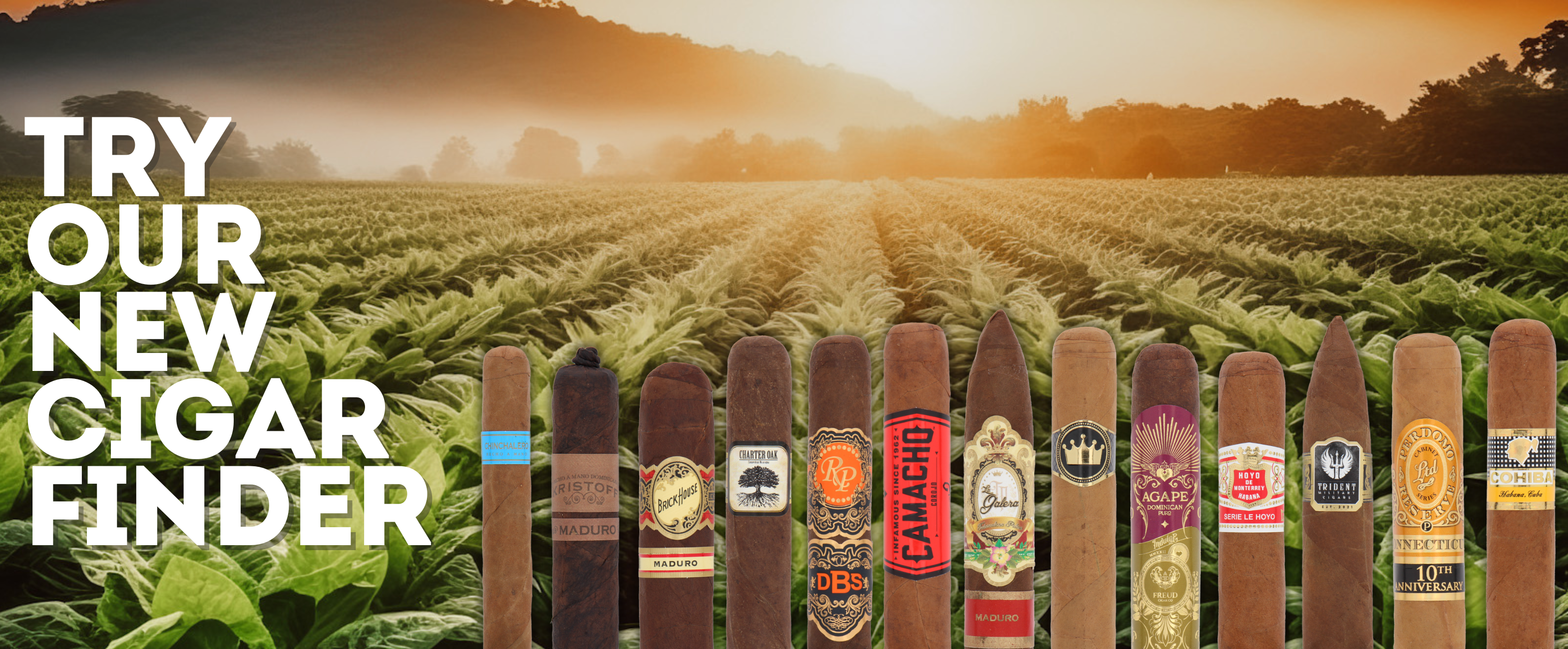 Cigar_finder_Web_3140_x_1300_px